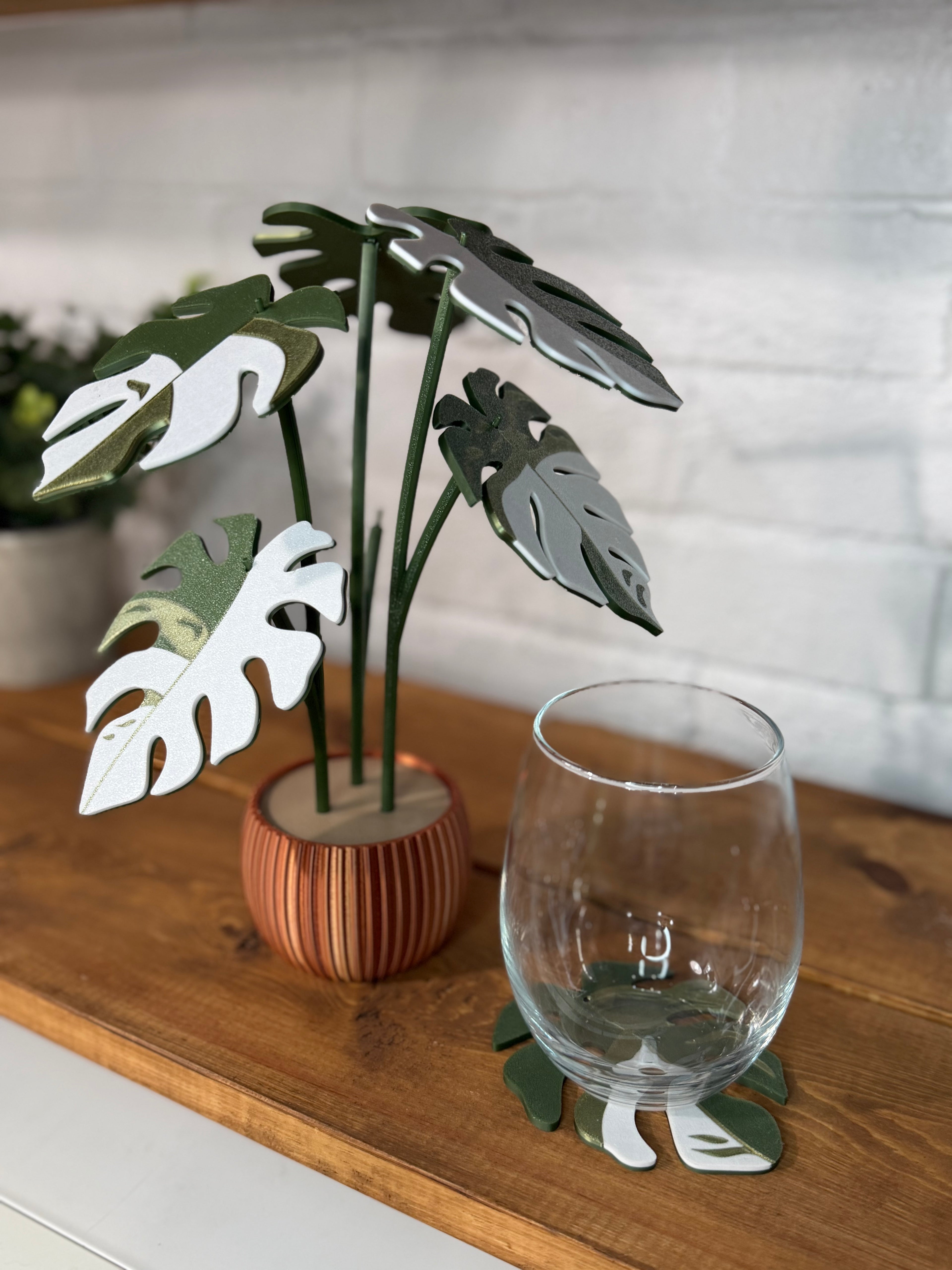 Monstera Variegata Plant Coaster