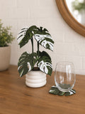 Magnetic Monstera Plant Coaster Set