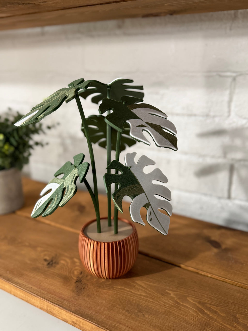 Monstera Variegata Plant Coaster