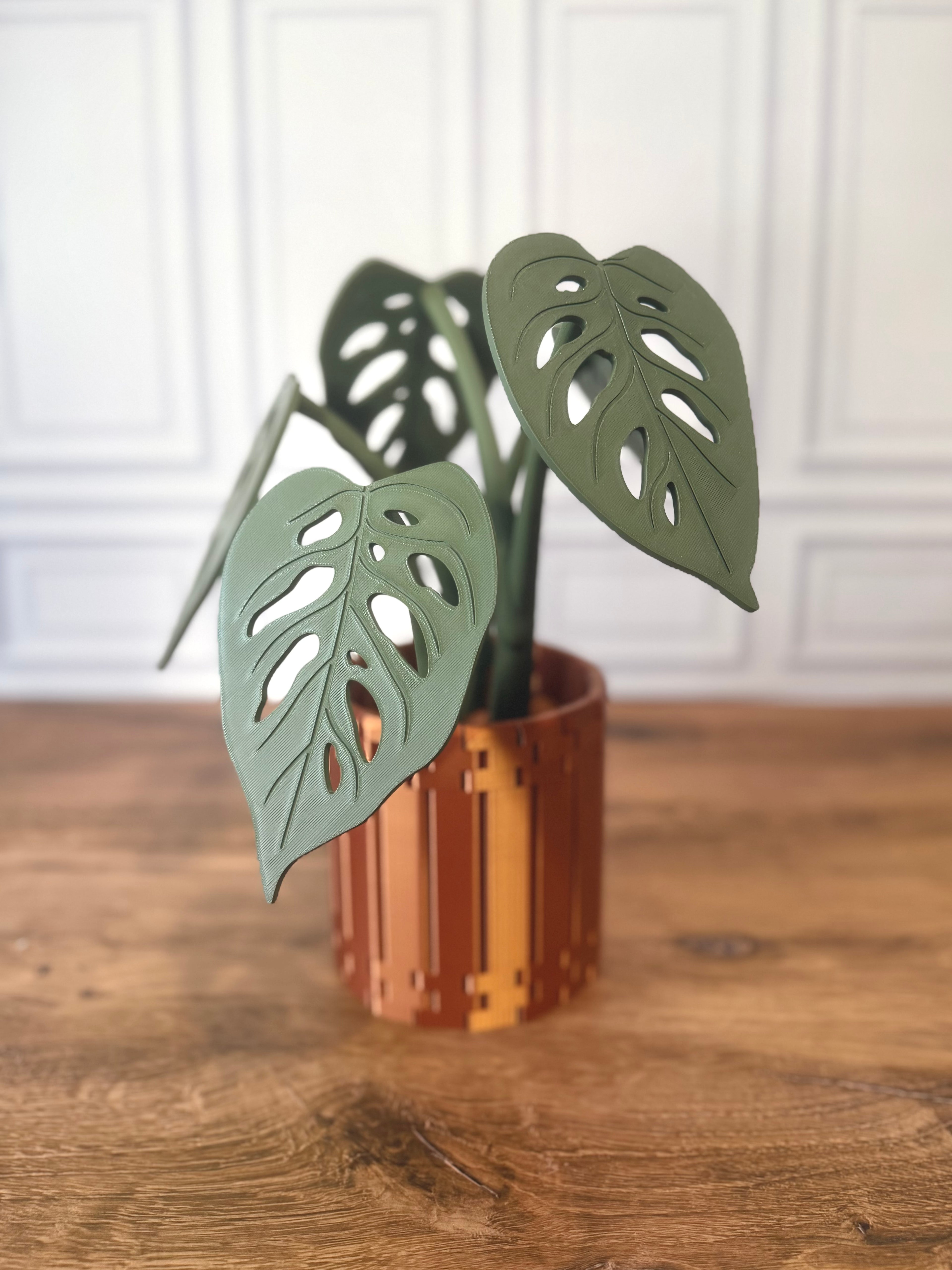 Monstera Adansonii "Swiss Cheese" Magnetic Plant Coaster