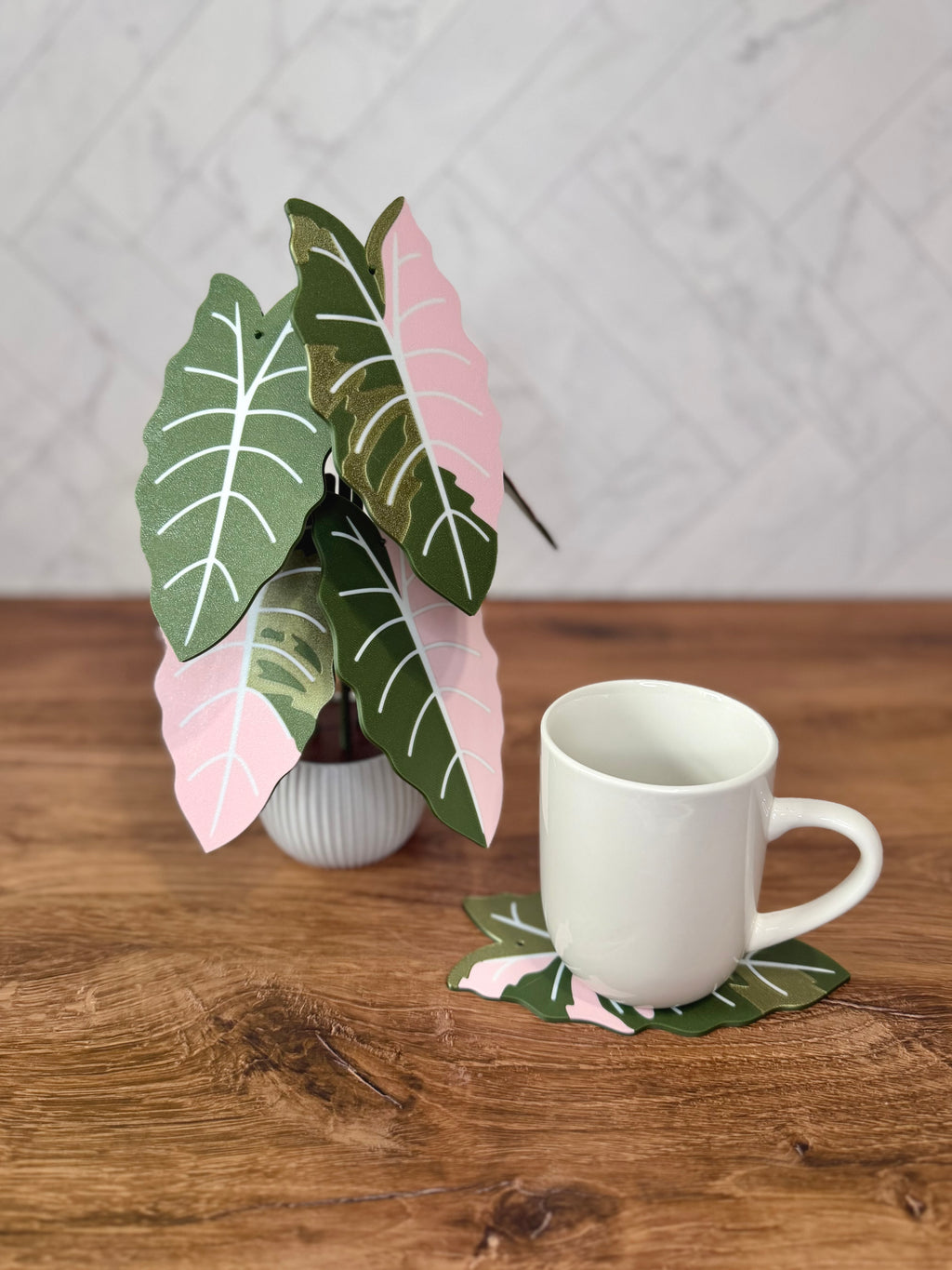 Alocasia Chantrieri Plant Coaster