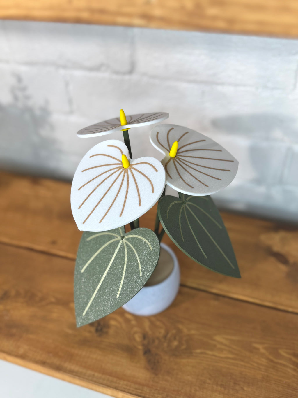 White Anthurium Plant Coaster