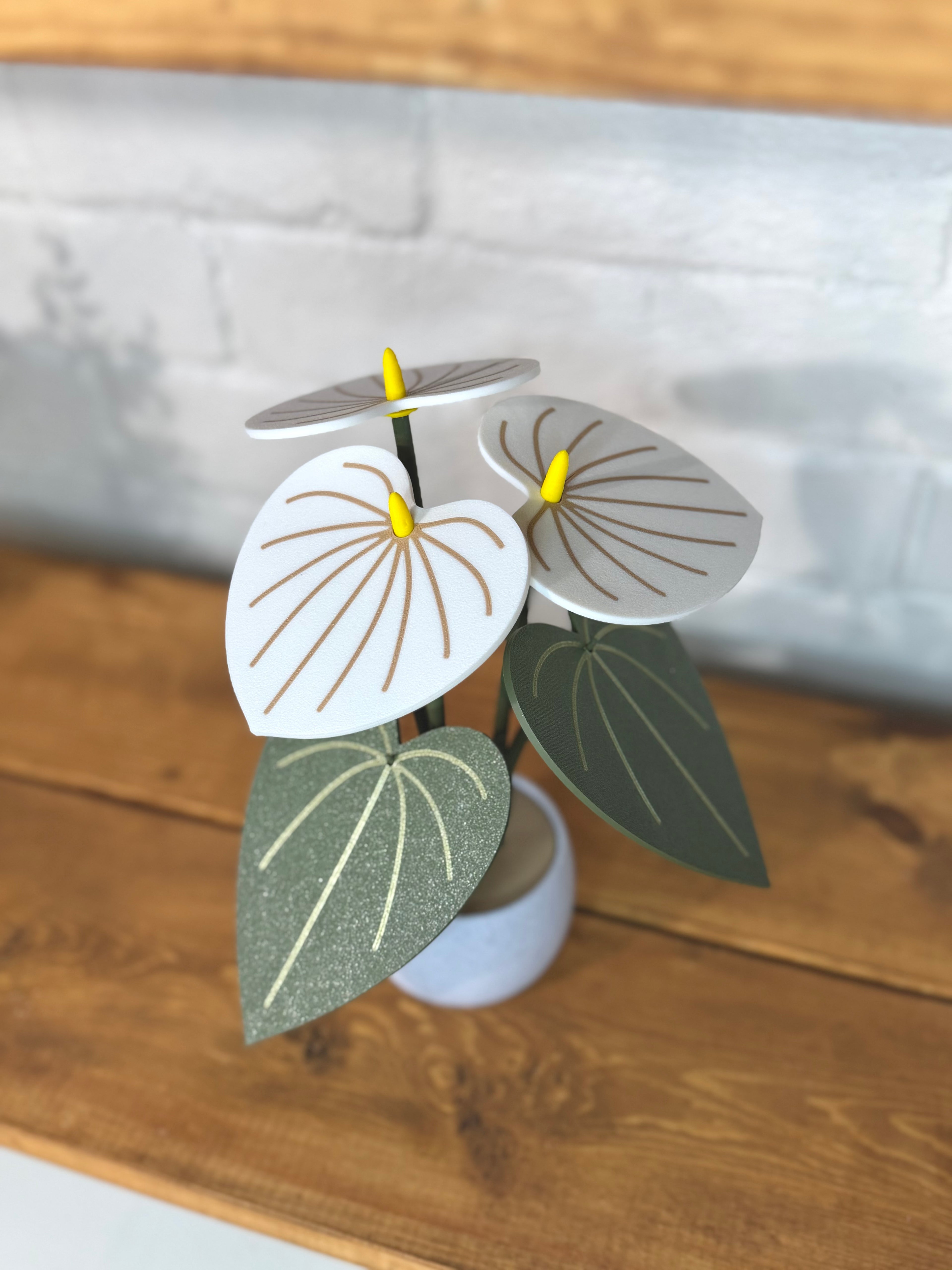 White Anthurium Plant Coaster