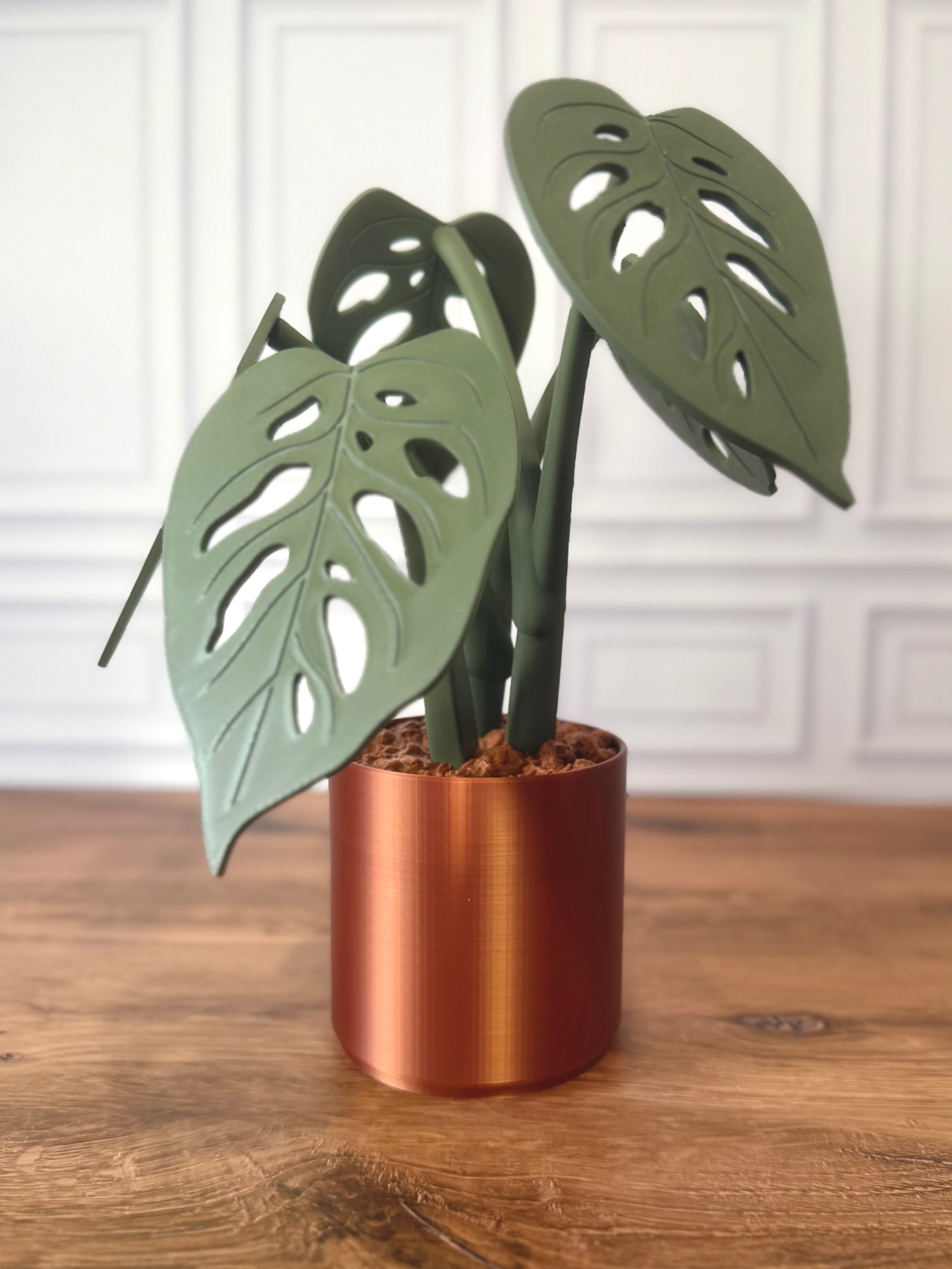 Monstera Adansonii "Swiss Cheese" Magnetic Plant Coaster