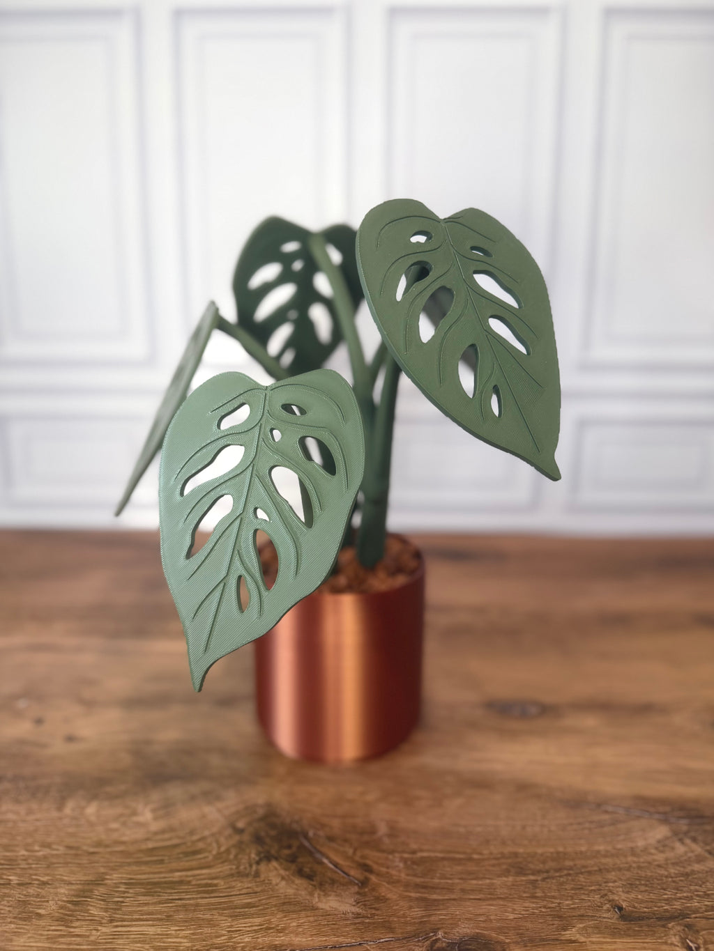 Monstera Adansonii "Swiss Cheese" Magnetic Plant Coaster