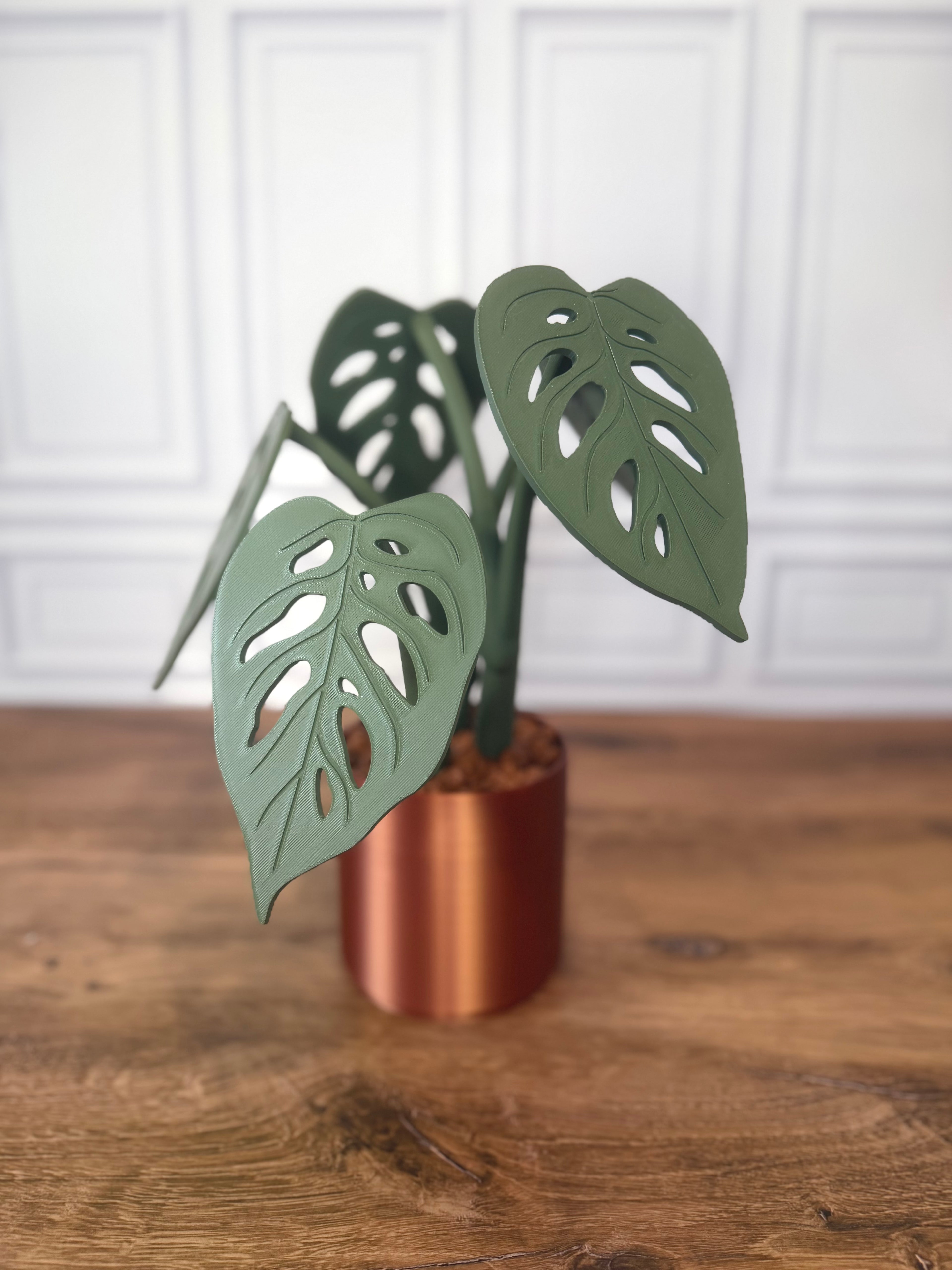 Monstera Adansonii "Swiss Cheese" Magnetic Plant Coaster