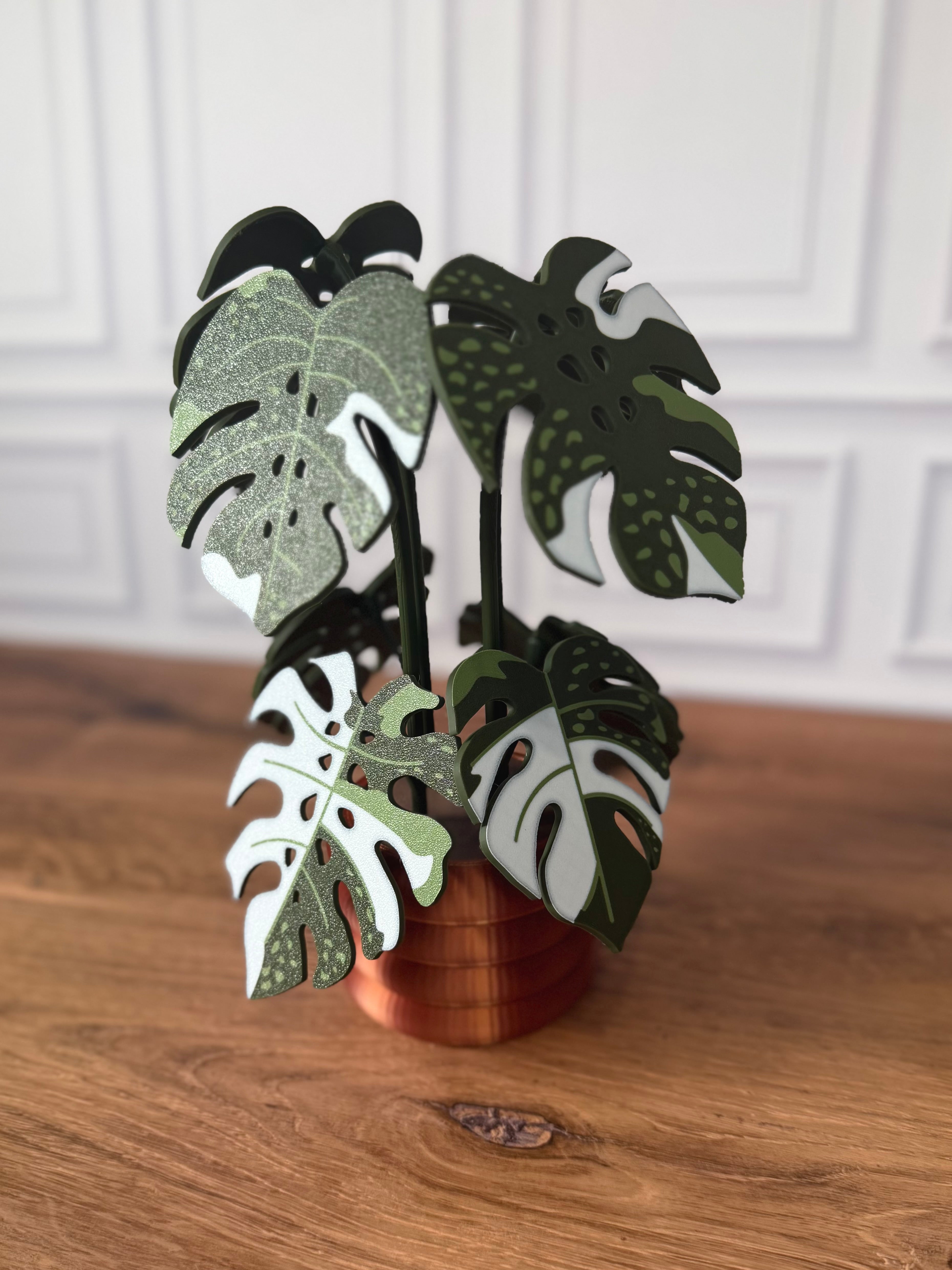 Magnetic Monstera Plant Coaster Set