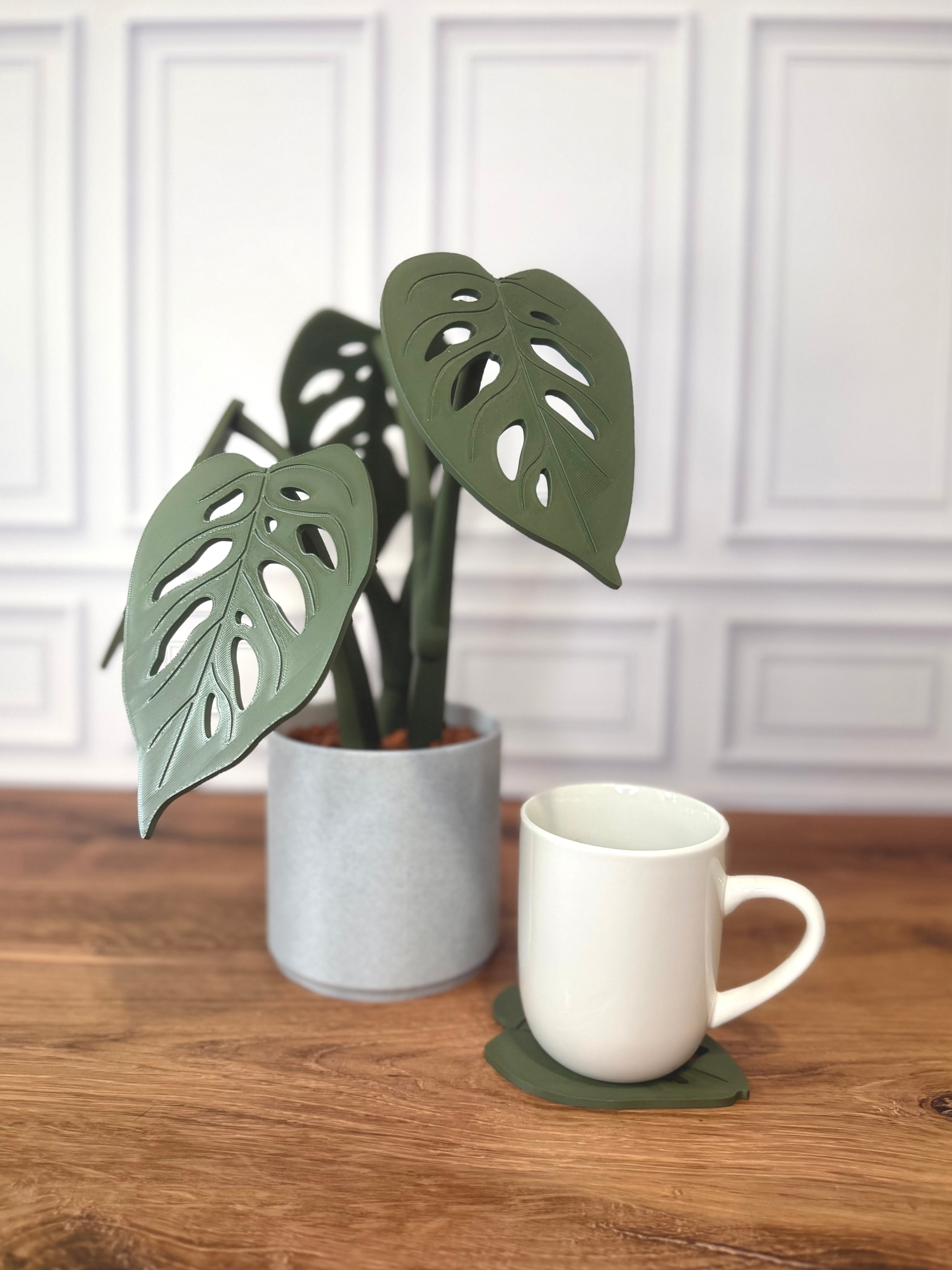 Monstera Adansonii "Swiss Cheese" Magnetic Plant Coaster
