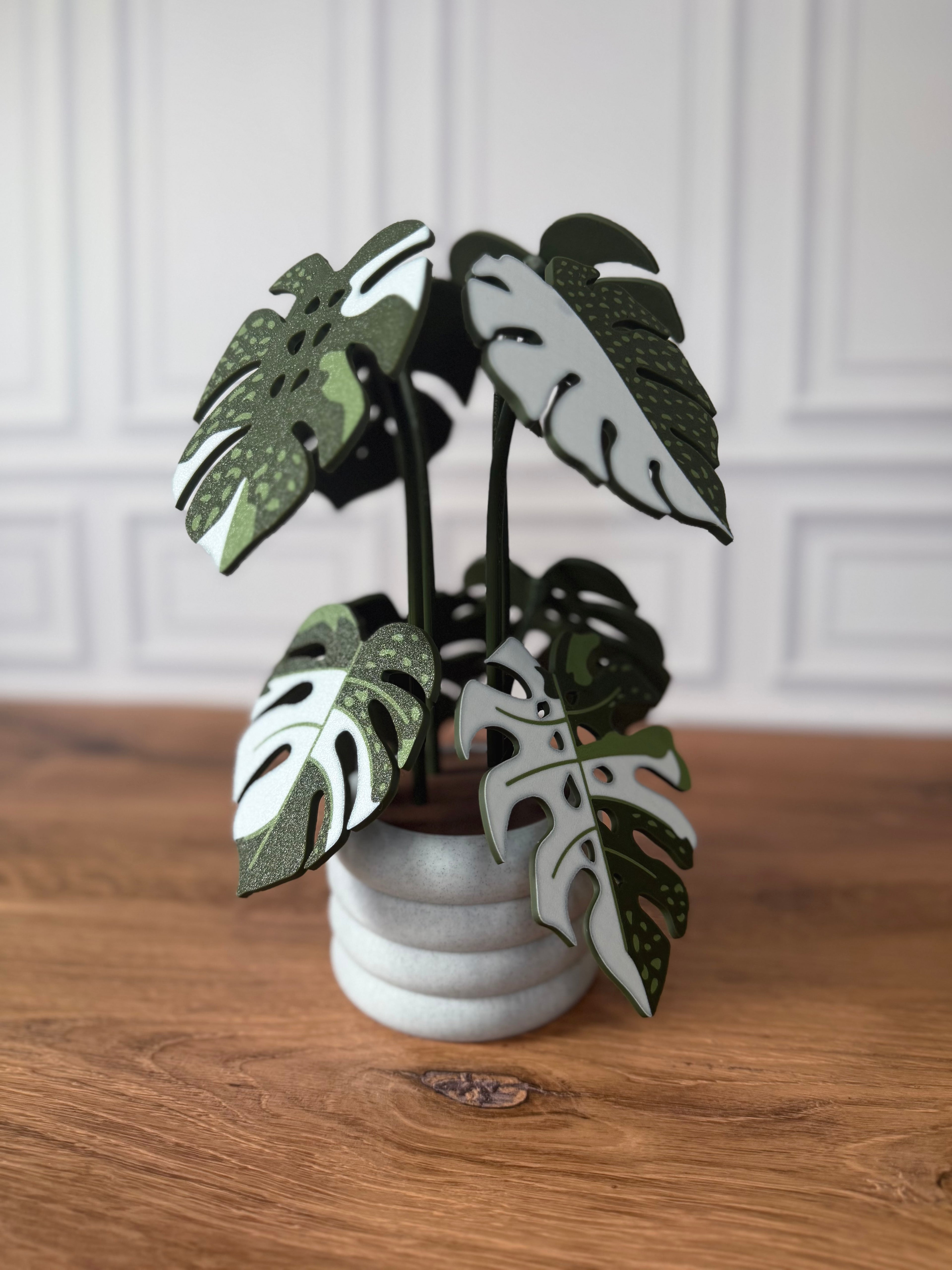 Magnetic Monstera Plant Coaster Set