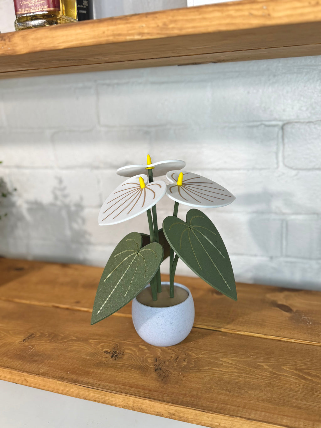 White Anthurium Plant Coaster