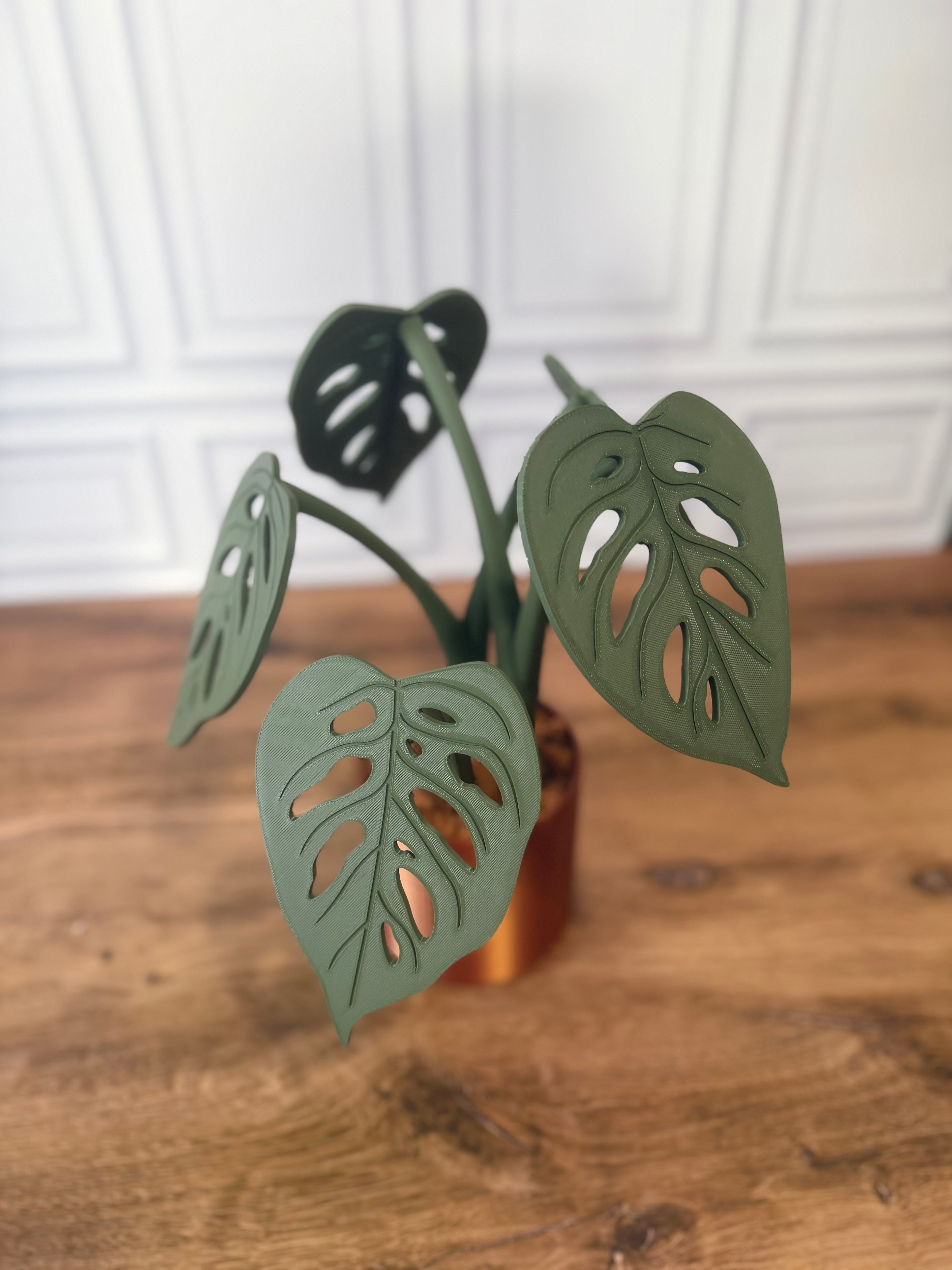 Monstera Adansonii "Swiss Cheese" Magnetic Plant Coaster
