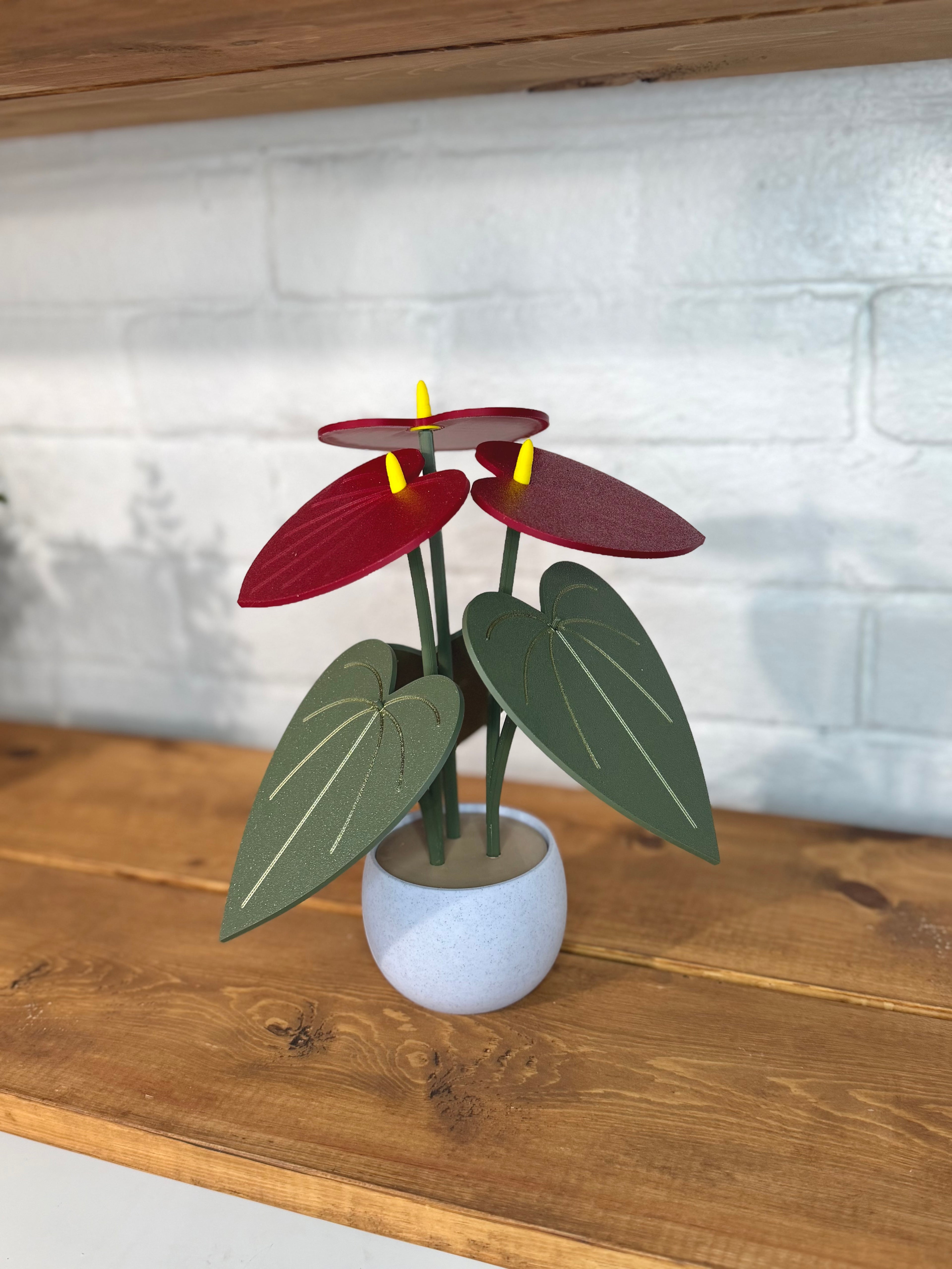 Red Anthurium Plant Coaster