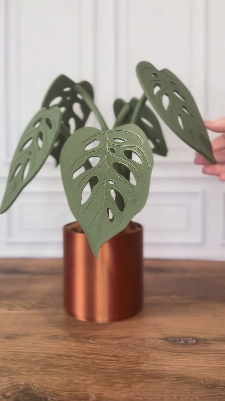 Monstera Adansonii "Swiss Cheese" Magnetic Plant Coaster